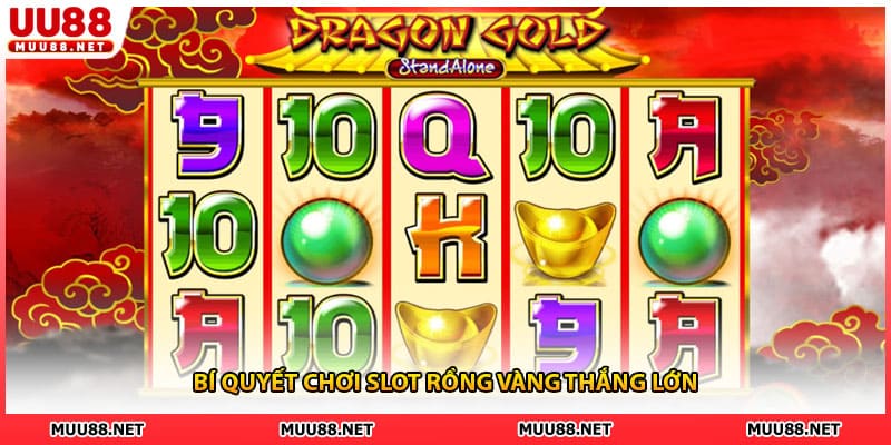 Bí quyết chơi slot rồng vàng thắng lớn
