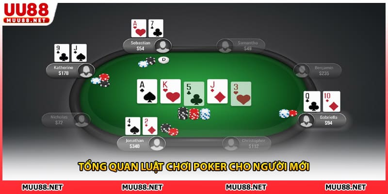 Tổng quan luật chơi poker cho người mới